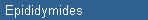 Epididymides