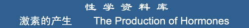 The Production of Hormones