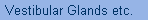 Vestibular Glands etc.