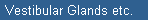 Vestibular Glands etc.