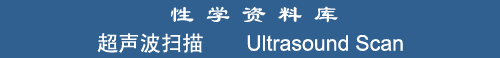Ultrasound Scan
