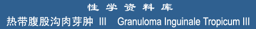 Granuloma III