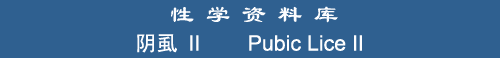 Pubic Lice II