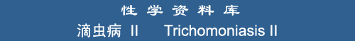 Trichomoniasis II