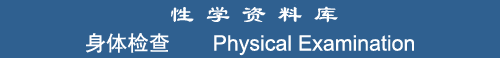 Physical Examination