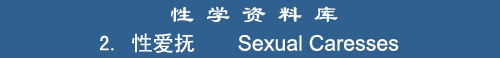 Sexual Caresses