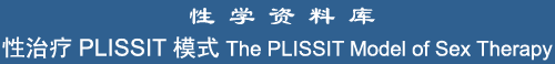 The PLISSIT Model of Sex Therapy