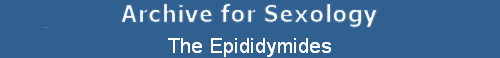 The Epididymides