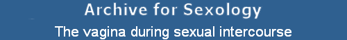 The vagina during sexual intercourse
